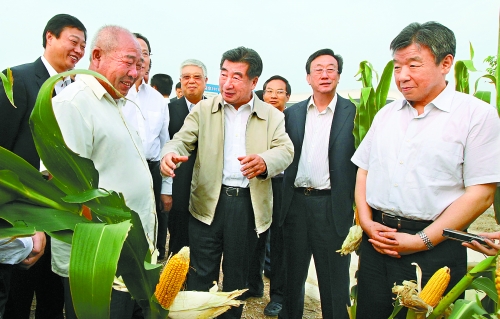 圖為回良玉在鄧州市腰店鄉(xiāng)草寺村視察萬(wàn)畝玉米高產(chǎn)示范方。