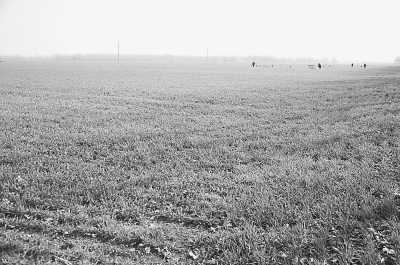 項(xiàng)城市丁集鎮(zhèn)平墳復(fù)耕后的農(nóng)田 項(xiàng)城市丁集鎮(zhèn)平墳復(fù)耕后的農(nóng)田