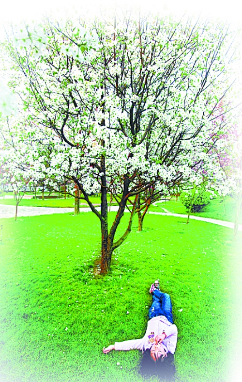 孩子愜意地躺在社區內的草坪上。 孩子愜意地躺在社區內的草坪上。