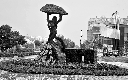 8月28日,南陽街頭繁花似錦,市民宛若行走在花海之中。 8月28日,南陽街頭繁花似錦,市民宛若行走在花海之中。