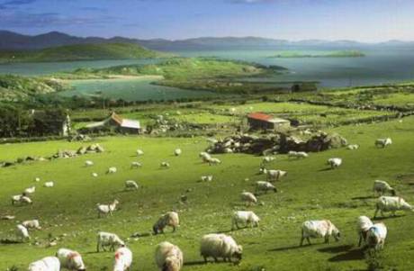 盤點幸福感最高的國家地區