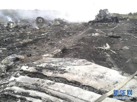 直擊馬航MH17客機墜毀現場