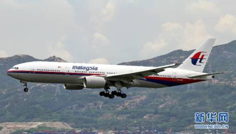 直擊馬航MH17客機墜毀現場