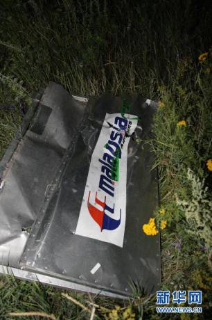 直擊馬航MH17客機墜毀現場