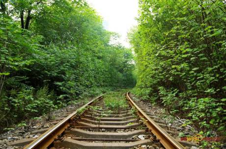 西安現“小清新”鐵路