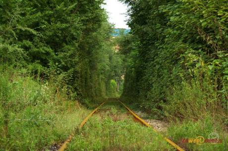 西安現“小清新”鐵路