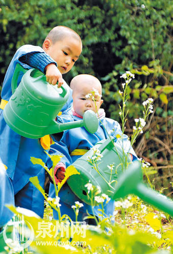 泉州延福寺現乖萌 泉州延福寺現乖萌