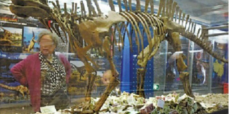 恐龍展柜成功德箱 恐龍展柜成功德箱