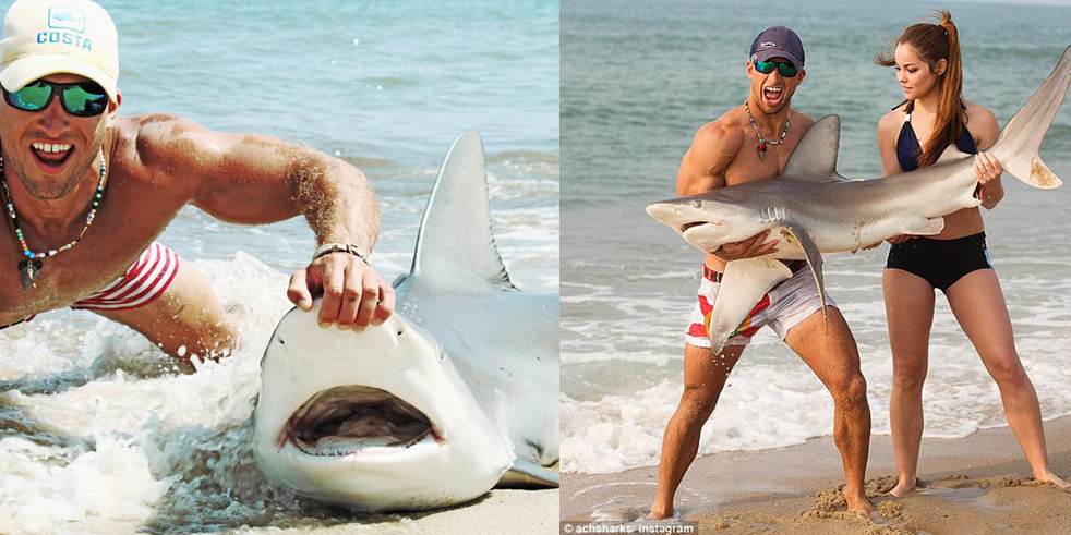 男子徒手抓鯊魚走紅網絡 男子徒手抓鯊魚走紅網絡