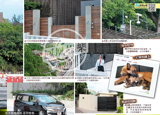 高墻圍鐵絲網 12只狼狗巡邏 高墻圍鐵絲網 12只狼狗巡邏