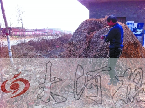 張哥、張弟就是在這兒撿到的投毒面包。