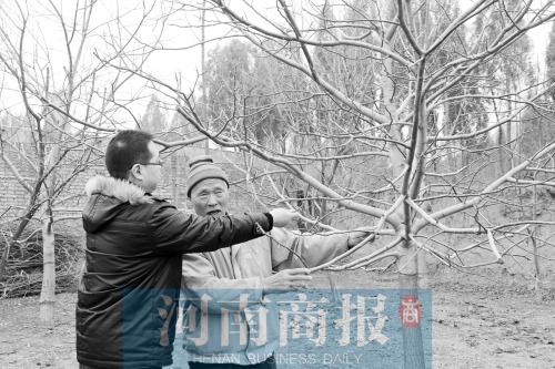 老人領(lǐng)著來(lái)訪(fǎng)者來(lái)看他親手種的樹(shù),他雖然眼睛看不見(jiàn),但能用手摸到樹(shù)的成長(zhǎng) 記者 唐韜/攝