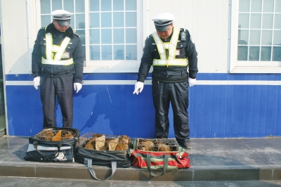 民警查獲的乘客行李包中,裝的全是獼猴。 民警查獲的乘客行李包中,裝的全是獼猴。