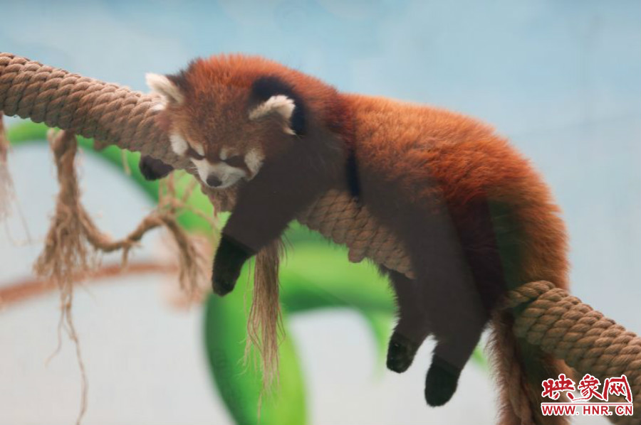 “休息，休息一下?！? width=