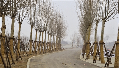 北三環東延工程邊上的生態廊道 北三環東延工程邊上的生態廊道