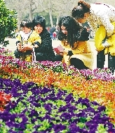 近距離才能拍得更真切。