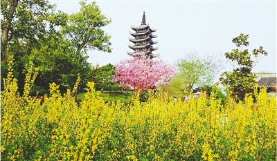 綠博園盛開的鮮花“期待”和市民“約會(huì)”。