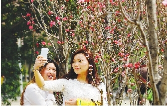 市民在公園與花合影。