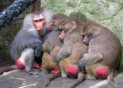 強冷空氣+雨 鄭州終于要下雪了！最低氣溫-6℃！