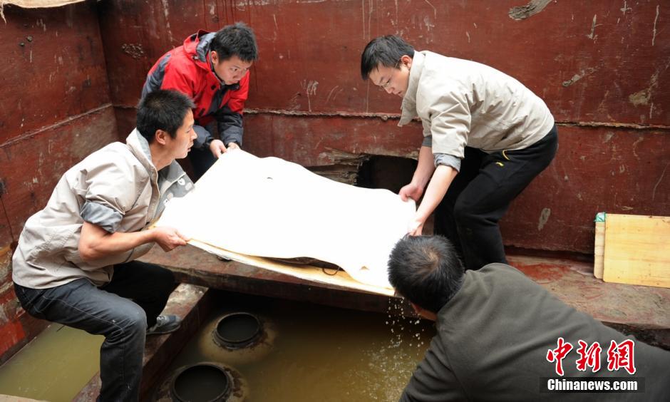 圖為考古現場工作人員小心翼翼將文物取出。