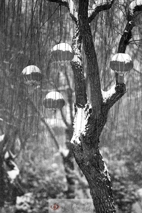 2月7日河南東南部地區有小到中雪 晚上全省將停雪 2月7日河南東南部地區有小到中雪 晚上全省將停雪