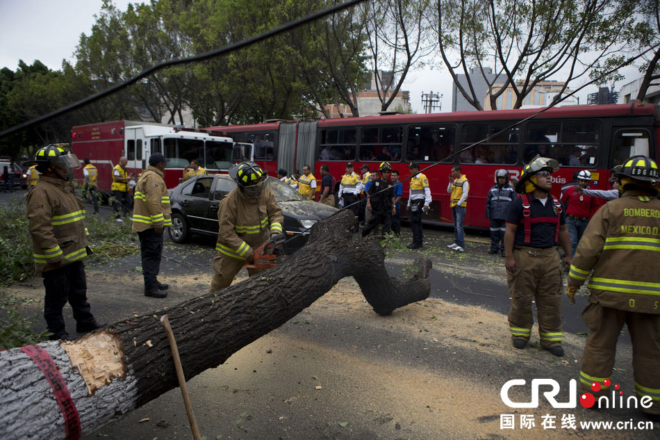 當地時間2014年5月8日,墨西哥墨西哥城,消防人員正在切割一棵倒下的樹。 當地時間2014年5月8日,墨西哥墨西哥城,消防人員正在切割一棵倒下的樹。