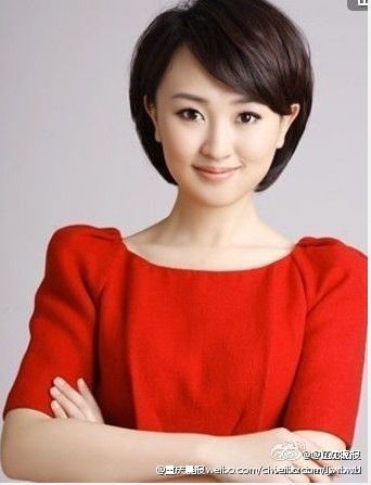 傳央視財經頻道美女主持人歐陽智薇被帶走(圖)