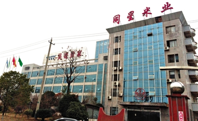 月11日，婁底市經濟技術開發(fā)區(qū)內，同星米業(yè)和吳哥世家兩家公司因借貸資金鏈斷裂，公司大門緊鎖。新京報記