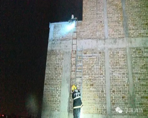 楊科璋留給世界的最后面容 楊科璋留給世界的最后面容