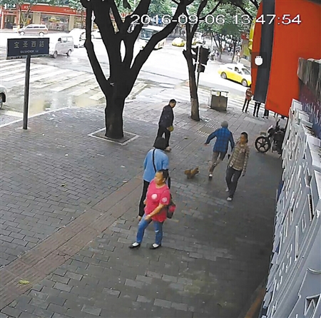 寵物狗絆倒八旬老太 沒有“逃離”現場坐等民警來 寵物狗絆倒八旬老太 沒有“逃離”現場坐等民警來