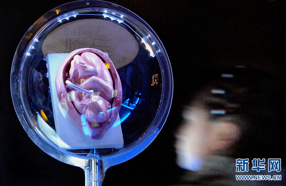 一名小學生在鄭州科技館內參觀介紹遺傳、生育等知識的“奇幻生命之旅”展覽（2007年2月18日攝）。