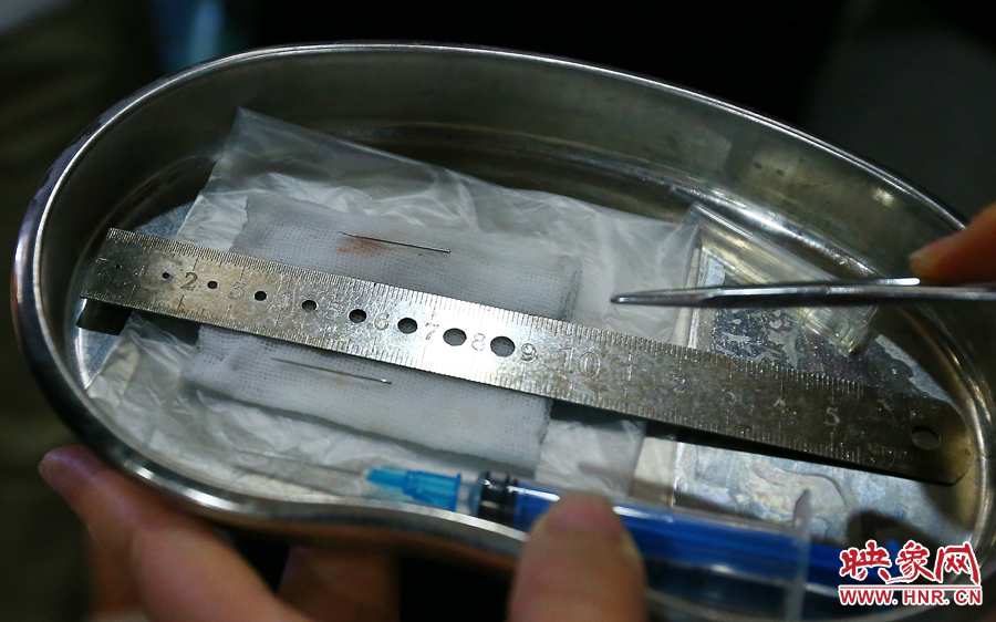 大龍顱內(nèi)取出的鋼針（上）和小龍顱內(nèi)的一樣（下），均為2.5厘米