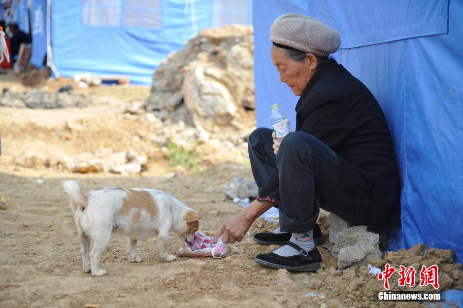 8月6日，一名老人將剛領到的礦泉水分給小狗。