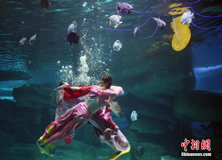 9月7日，在中秋節到來前一天，山東泉城海洋極地世界為游客帶來“嫦娥水中奔月”表演。