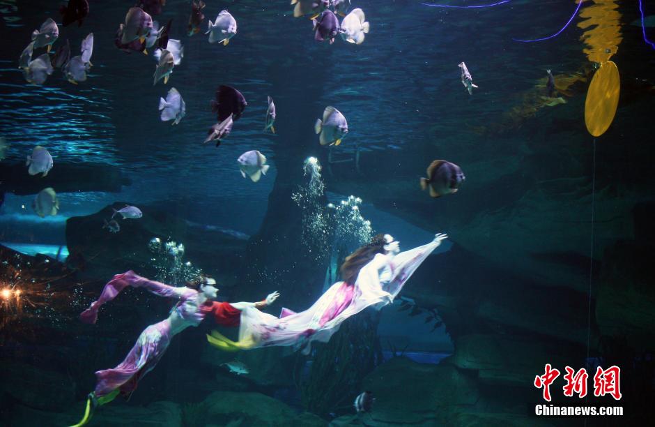 9月7日，在中秋節到來前一天，山東泉城海洋極地世界為游客帶來“嫦娥水中奔月”表演。