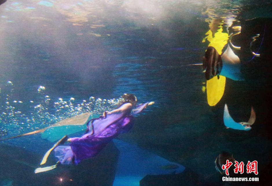 9月7日，在中秋節到來前一天，山東泉城海洋極地世界為游客帶來“嫦娥水中奔月”表演。
