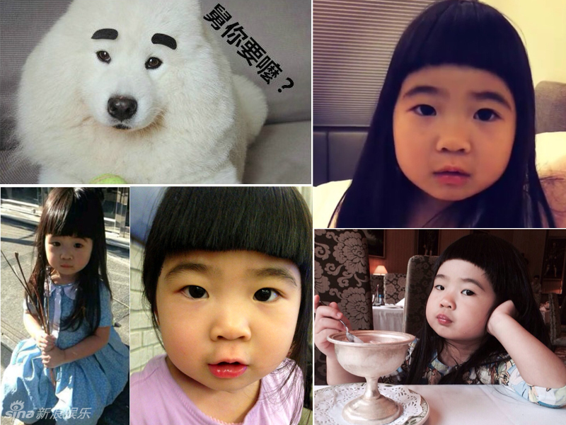 不小心就撞臉了！盤點動物界的明星相