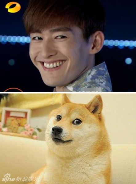 不小心就撞臉了！盤點動物界的明星相