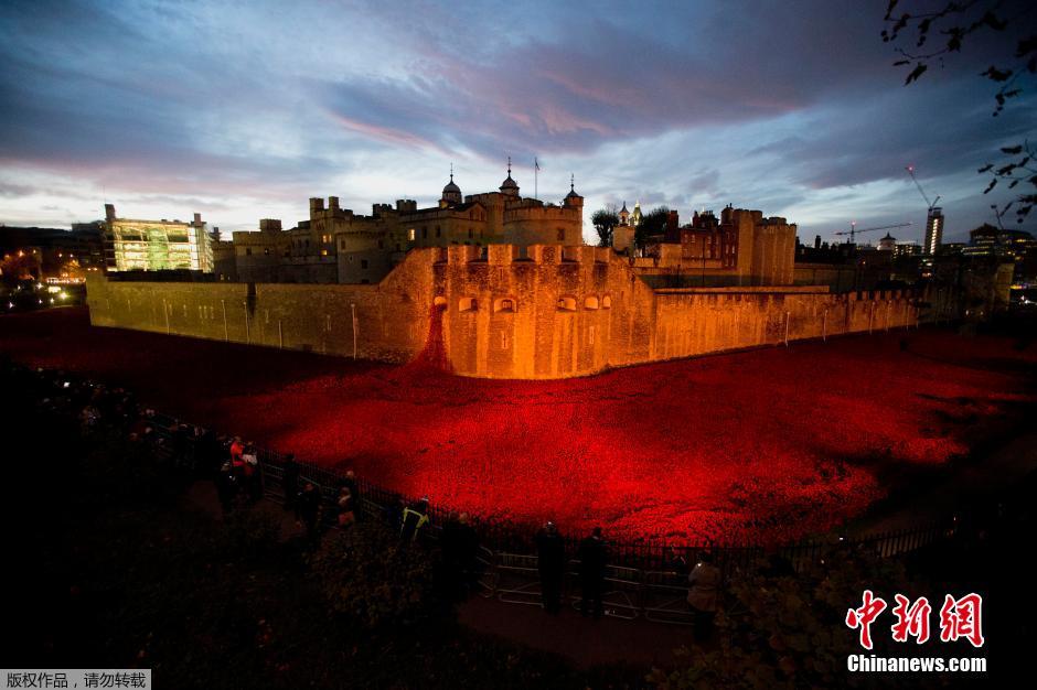 當地時間2014年11月10日，英國倫敦，倫敦塔周邊“種植”了888246朵陶瓷材質的罌粟花，以此紀