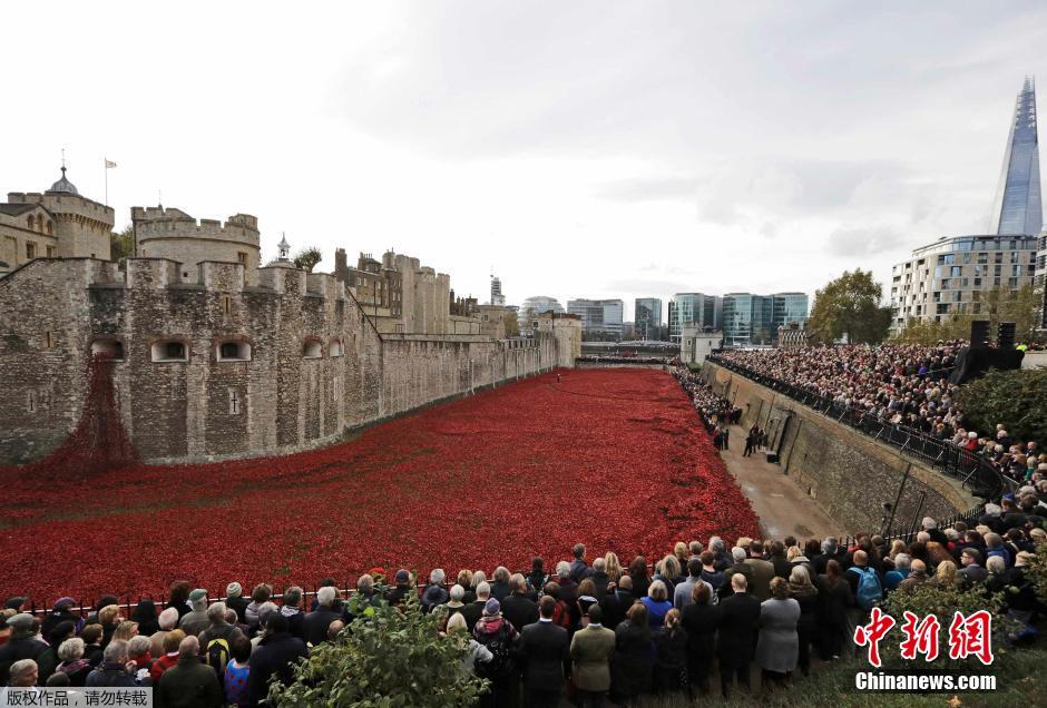 當地時間2014年11月10日，英國倫敦，倫敦塔周邊“種植”了888246朵陶瓷材質的罌粟花，以此紀