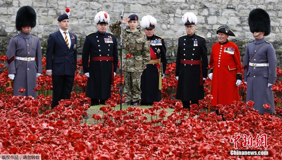 當地時間2014年11月10日，英國倫敦，倫敦塔周邊“種植”了888246朵陶瓷材質的罌粟花，以此紀