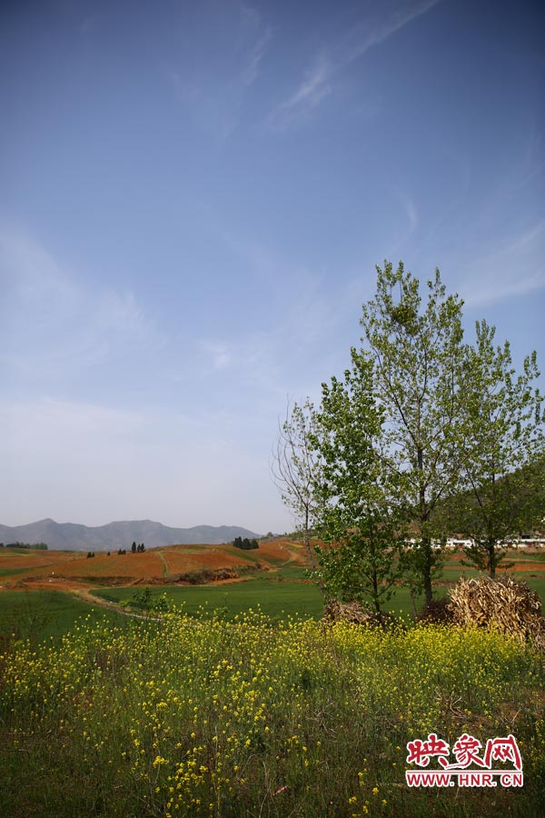 庫區的藍天、白云、綠樹、黃花給人清新的享受