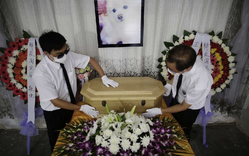 工作人員將寵物狗的靈柩放在靈堂上。