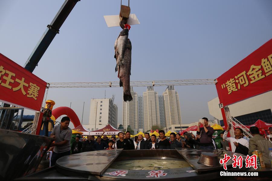 起重機吊起161.2斤魚王下鍋。 圖片來源：CFP視覺中國