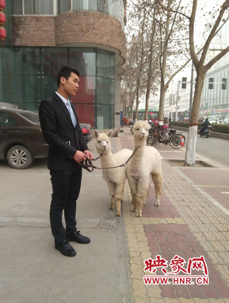 網(wǎng)絡(luò)神獸現(xiàn)身中原路 網(wǎng)絡(luò)神獸現(xiàn)身中原路