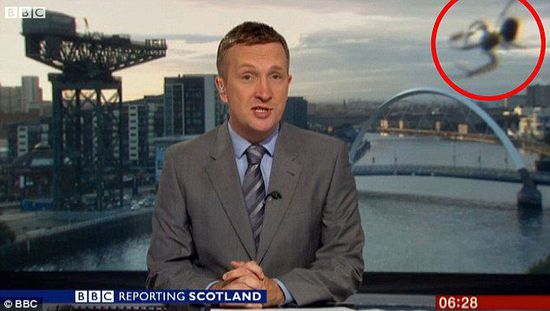 BBC直播被覓食蜘蛛搶鏡 投影作用放大數倍 BBC直播被覓食蜘蛛搶鏡 投影作用放大數倍