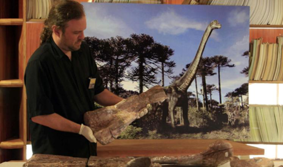 委內瑞拉發現罕見恐龍化石 骨關節排列結構特殊