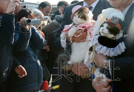 圖為粉絲們簇擁著“阿玉”站長（右）。左側為其部下“二玉”。