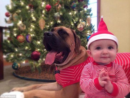 圖為美國2歲大的寵物犬與主人9個月大的女嬰。圖片來源：臉譜網站（Facebook）。