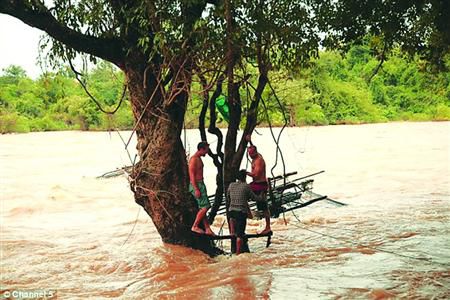 蓋屋、種菜，“從沒(méi)這樣快樂(lè)”